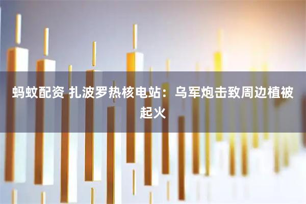 蚂蚊配资 扎波罗热核电站：乌军炮击致周边植被起火