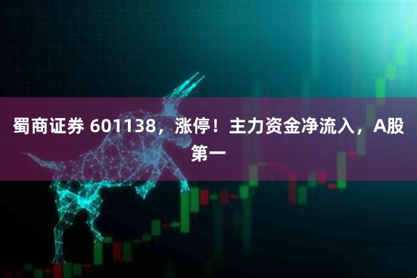 蜀商证券 601138，涨停！主力资金净流入，A股第一