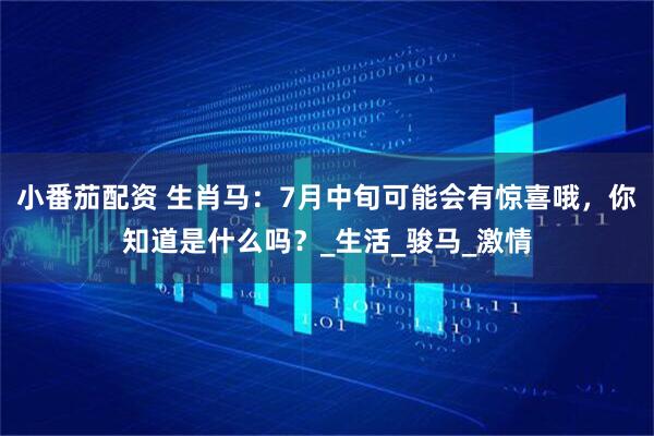 小番茄配资 生肖马：7月中旬可能会有惊喜哦，你知道是什么吗？_生活_骏马_激情