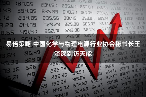 易倍策略 中国化学与物理电源行业协会秘书长王泽深到访天能