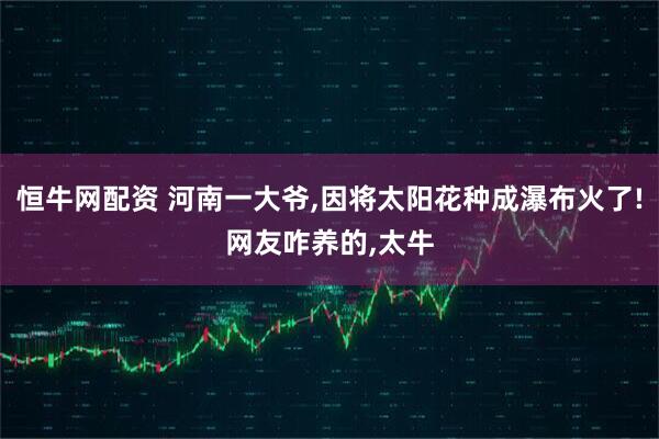 恒牛网配资 河南一大爷,因将太阳花种成瀑布火了!网友咋养的,太牛