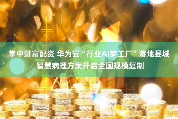 掌中财富配资 华为云“行业AI梦工厂”落地县域 智慧病理方案开启全国规模复制